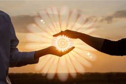 Psychedelic use in relationships. The concept of a love relationship between people, depicted by their hands interacting with a floral pattern expanding from the space between their hands. There is a sunset glow beyond them.