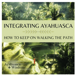 Ayahuasca integration program