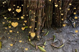 Ayahuasca-Assisted Therapy. A photo of lots of ayahuasca plant growing in the forest, with a graphic of golden hearts dotted over it.