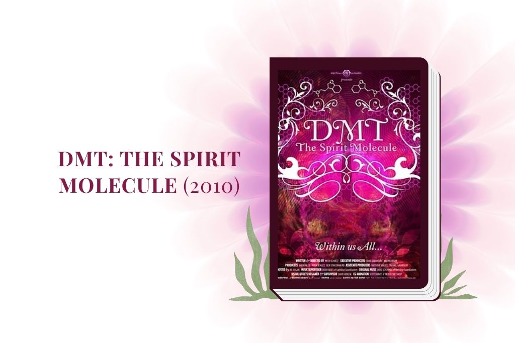 DMT Substance Guide. Am image of the cover of the book "DMT The Spirit Molecule (2010)"with the name to the left of the book.