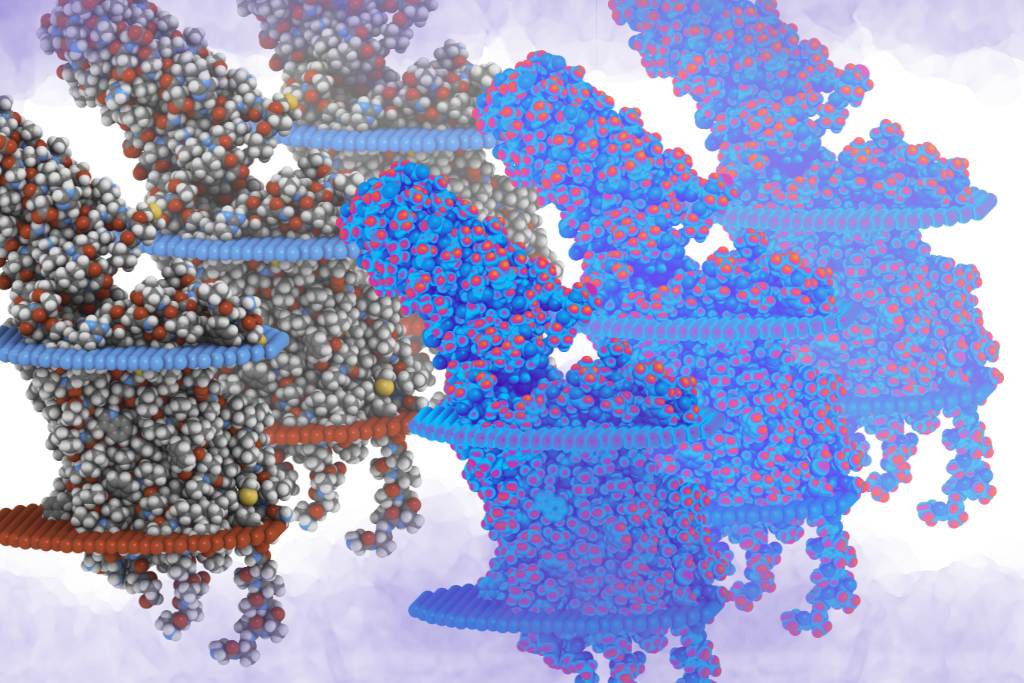 Microdosing and heart health. A rendering based on Protein Data Bank Entry 5Tvn. of a serotonin receptor 5-HT2B protein. Shown in complex with an LSD molecule. The rendering has been repeated into a triplicate pattern, and then repeated again to make 2 sets of 3 repeats. On the left, on its original colors. On the right, with a psychedelic filter applied. There is a lavender cloudy effect surrounding the images. 