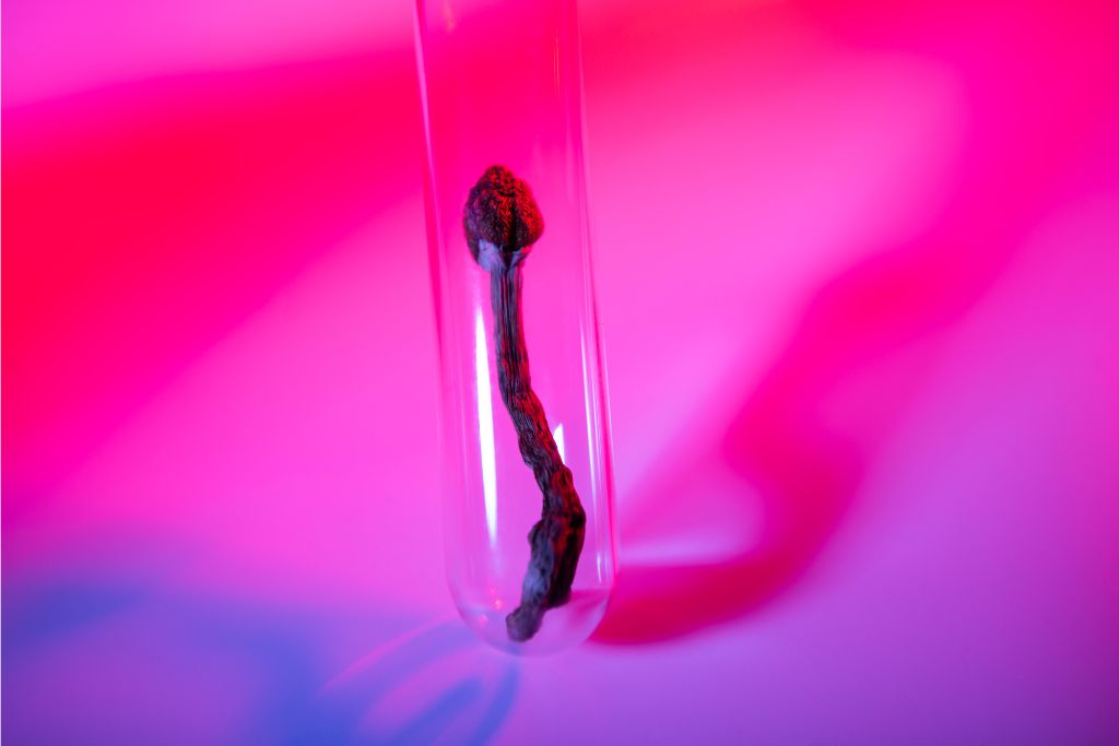 psilocybin therapy for substance use