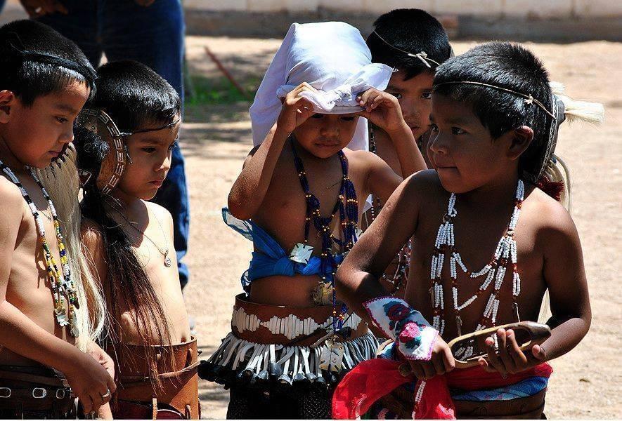 indigenous sovereignty and plant medicines