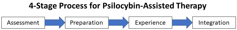 psilocybin therapy format