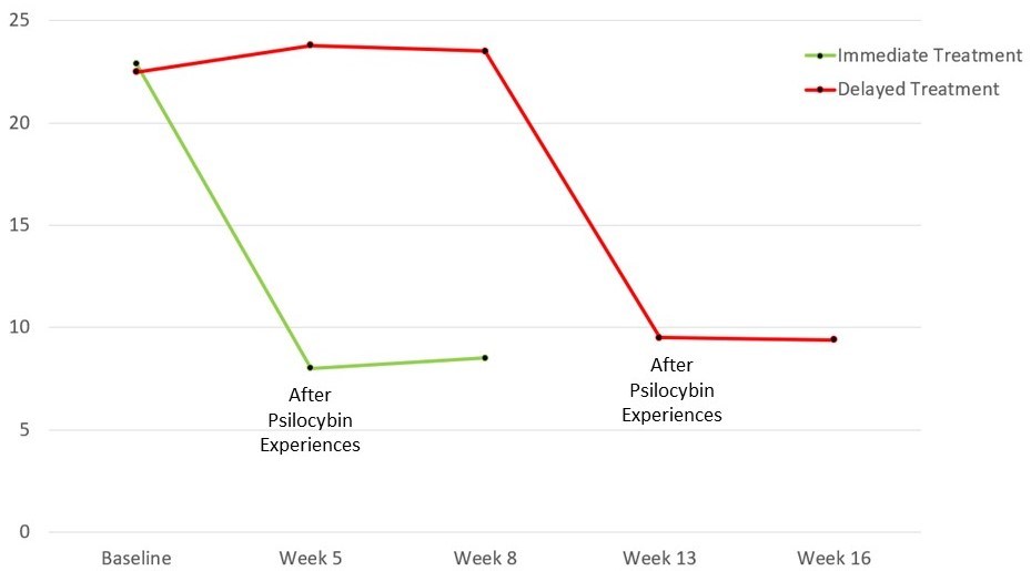 healing after psilocybin-assisted