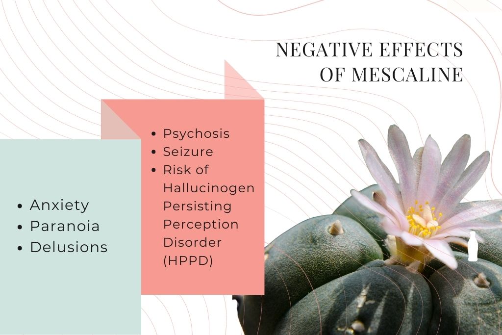 negative effects of mescaline