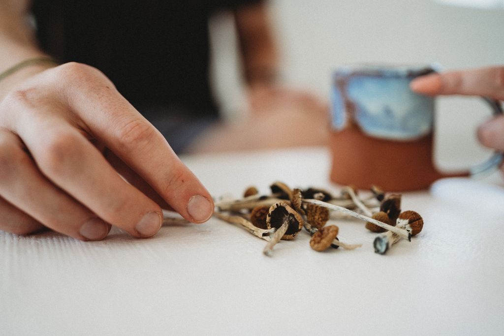 psilocybin shrooms