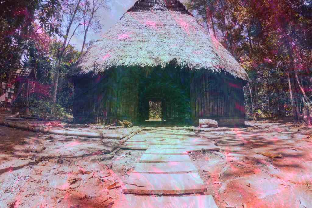 ayahuasca and cultural appropriation
