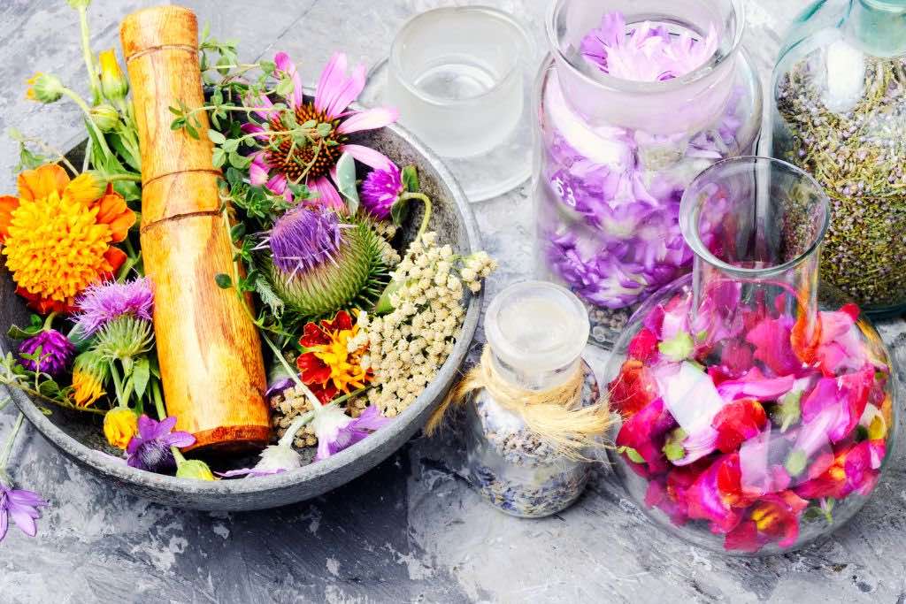 herbs to prepare the body