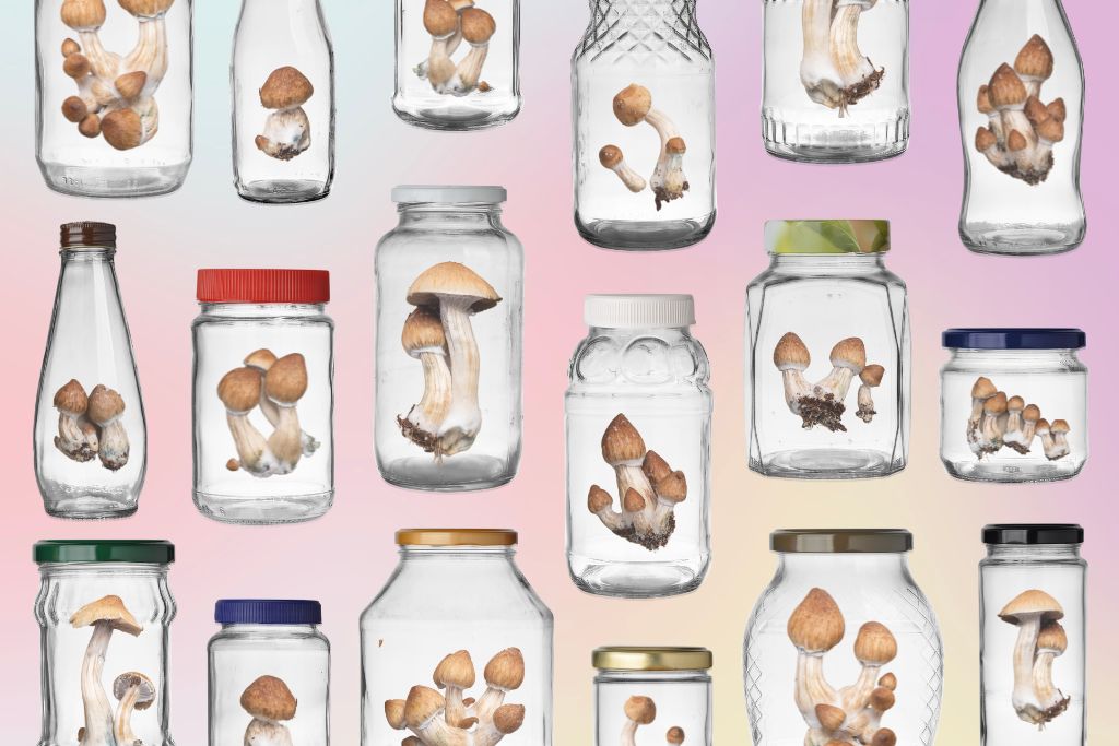 Storing psilocybin. Multiple floating glass jars in a neat pattern with fresh psilocybin mushrooms in each of them, and a dreamy pastel background.