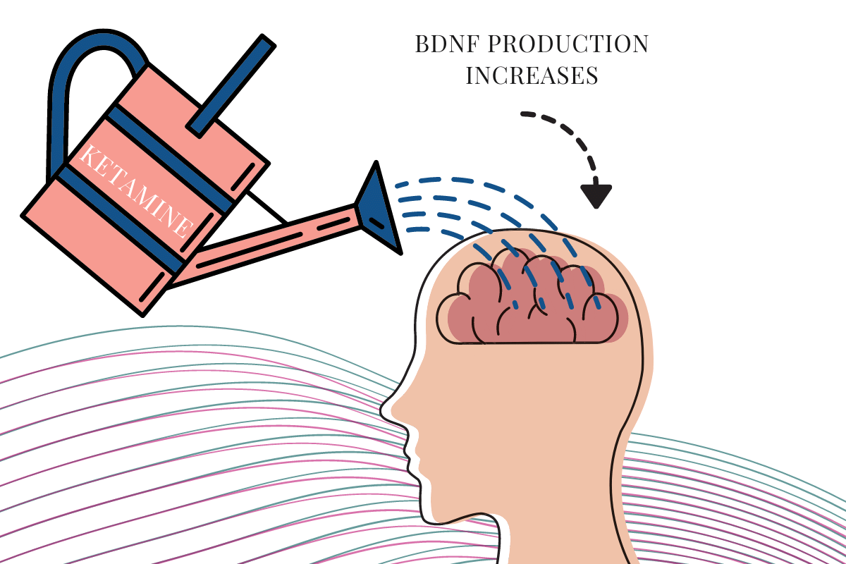 ketamine increases BNDF and neuroplasticity 