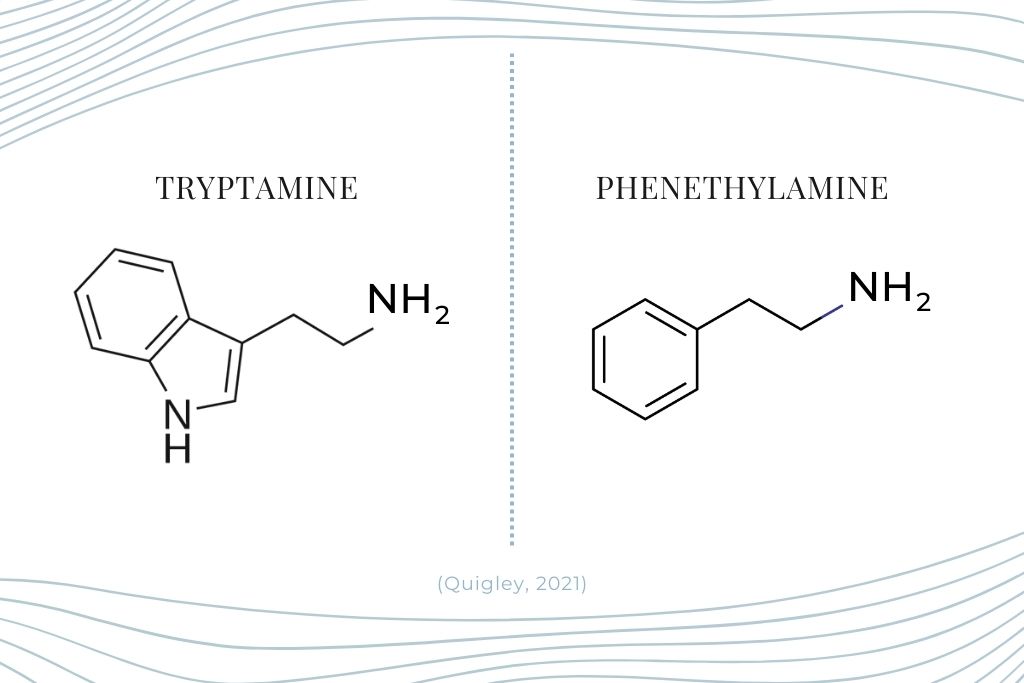 DMT Substance Guide. Two molecular structure diagrams, one on the left of Tryptamine, the other of Phenethylamine.