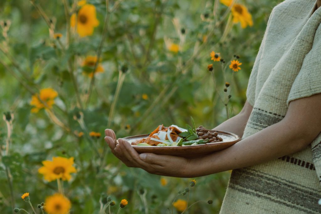 psychedelics promote pro-environmental behavior