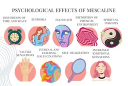 psychological effects of mescaline