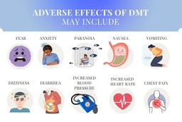 DMT Substance Guide. A list of some potential adverse effects of DMT with associated images (from left to right): First row - Dear (purple, panicked face), Anxiety (person with a cloud over their head, head in hand), Paranoia (person in a cage, with eyes floating around looking at them), Nausea (A stomach with yucky green liquid in it with an upset face), Vomiting (A person bent over a toilet seat); Second row - Dizziness (person with stars and spirals around them, and spirals for eyes), Diarrhea (person holding their stomach with methaphorical flames on it), Increased blood pressure (a blood pressure testing device), Increased heart rate (heart with a heart rate pattern on it), Chest pain (person with their hand on their chest, where there is also a red dot).