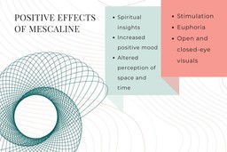 positive effects of mescaline