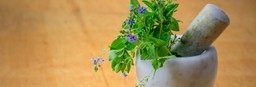 Plant mortar / pestle – via Pexels – Photomix Company