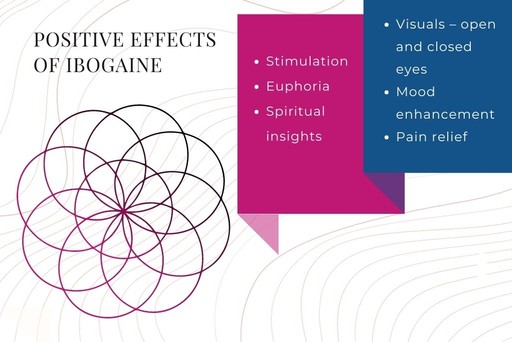 Ibogaine Substance Guide Psychedelic Support · Psychedelic Support