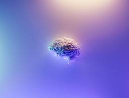 neurofeedback brain image