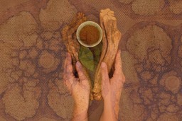 Integrating Ayahuasca Experiences. Brown background with a pair of hands holding two pieces of bark and leaves which Ayahuasca is made from, with a cup of liquid between them. Patterns of the bark overlay the image.