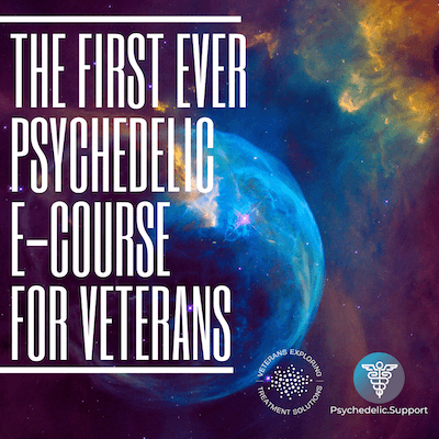 Psychedelic Therapy For Veterans Vets Heals Vets Psychedelic Support