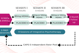 MDMA assisted therapy treatment design