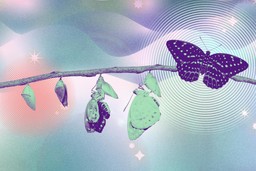 Pain-free. Image of a branch with a butterfly at different stages of it's metamorphosis transformation hanging from the branch. Behind this is a graphic sea of wavy water in blues and greens with white sparkles, and a soft pink cloud-like effect over it. Behind the butterfly on the left in pupa stage is a glowing red area, indicating pain. Behind the butterfly on the right in flight is a glowing white area, indicating relief from the pain. 