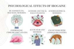 Psychological effects of ibogaine