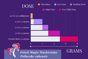 Magic Mushroom Dosing. A bar graph showing the different categories of dried magic mushroom doses in grams. The x-axis is labeled as "GRAMS" and ranges from "0.0" to "8.0" with intervals of 2.0 along it. The y-axis is labeled as "DOSE". Along the y-axis, the items are: "100 to 250 milligrams" (indicated as "Microdose" on the legend in Bright Orange), "0.5 to 1.0 grams" (indicated as "Low Dose" on the legend in Lavender), "2.0 to 3.0 grams" (indicated as "Medium Dose" on the legend in Lilac), "3.0 to 5.0 grams" (indicated as "High Dose" on the legend in Fuschia), and "Greater than 5.0 grams" (indicated as "Very High Dose" on the legend in Bright Red Pink). The background is dark purple, and there is a small graphic of two mushrooms in the same colors as the bar graph items in the bottom left corner next to the heading "Dried Magic Mushroom Guide".