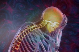 psychedelics for chronic pain