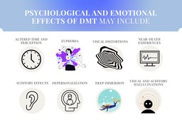 DMT Substance Guide. A list of some psychological and emotional effects of DMT with associated images (from left to right): First row - Altered time and perception (a clock), Euphoria (person with flowers and colours exploding from their chest), Visual distortions (a warped shape of spiral lines), Near-death experiences (television with a heart beat pattern on it); Second row - Auditory effects (an ear), Depersonalization (head of a person with a person in the head), Deep immersion (a scuba diver under water), Visual and auditory hallucinations (sihouette of a person with concetric circles around their head).