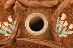 Ayahuasca Ceremonies. Top-down view of four whole pieces of ayahuasca laid out atop shredded ayahuasca vine in the shape of a wonky square. In the center of the square is a bowl of traditional healing ayahuasca brew. To the left and the right of the whole ayahuasca pieces placed on the left and the right are graphics of some dreamy, pastel-colored flowers.