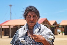 roxanne-desgagnes-GUZHrk3Agco-unsplash, Indigenous plant medicine traditions