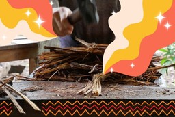 Ayahuasca Ceremonies. A person preparing ayahuasca with a hammer. There are graphics of groovy retro streams of colors emanating from the ayahuasca tree, with some stars dotted around it. There are also some graphics of zig-zags along the bottom. The colors of the graphics are red/peachy-red, orange/mustard-yellow, and off-white.