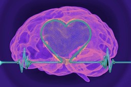 Heart Rate Variability. A 3D rendering of a brain with a pink, mesh-like texture. There is a heart shape in the center with some yellow colors. Across the image is a heart rate rhythm pattern in neon turquoise. This is on a deep purple background.