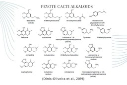 alkaloids found in peyote