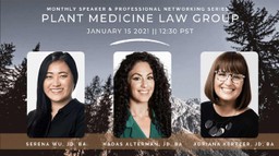 Plant Medicine Law group on psychedelic law for clinicians 