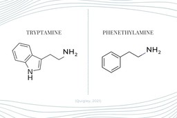 DMT Substance Guide. Two molecular structure diagrams, one on the left of Tryptamine, the other of Phenethylamine.