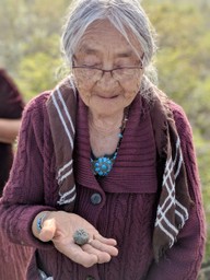 indigenous sovereignty and plant medicines