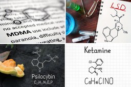 Psychedelic Substances. A quadriptych of four images, each showing the different chemical formula for a psychedelic substance. Top-left: MDMA, Top-right: LSD, Bottom-left: Psilocybin, Bottom-right: Ketamine