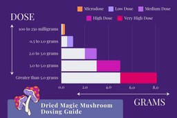 A bar graph showing the different categories of dried magic mushroom doses in grams. The x-axis is labeled as &quot;GRAMS&quot; and ranges from &quot;0.0&quot; to &quot;8.0&quot; with intervals of 2.0 along it. The y-axis is labeled as &quot;DOSE&quot;. Along the y-axis, the items are: &quot;100 to 250 milligrams&quot; (indicated as &quot;Microdose&quot; on the legend in Bright Orange), &quot;0.5 to 1.0 grams&quot; (indicated as &quot;Low Dose&quot; on the legend in Lavender), &quot;2.0 to 3.0 grams&quot; (indicated as &quot;Medium Dose&quot; on the legend in Lilac), &quot;3.0 to 5.0 grams&quot; (indicated as &quot;High Dose&quot; on the legend in Fuschia), and &quot;Greater than 5.0 grams&quot; (indicated as &quot;Very High Dose&quot; on the legend in Bright Red Pink). The background is dark purple, and there is a small graphic of two mushrooms in the same colors as the bar graph items in the bottom left corner next to the heading &quot;Dried Magic Mushroom Guide&quot;.