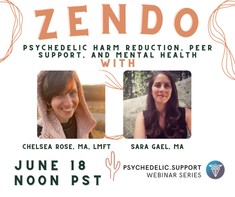 Zendo Project psychedelic peer support