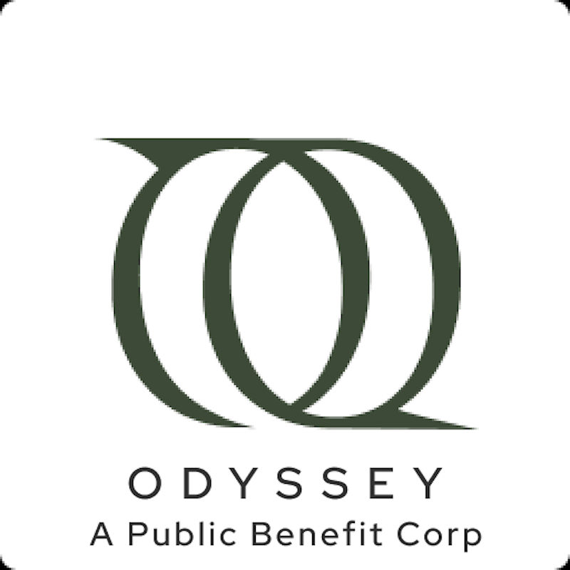 Odyssey is a clinic on Psychedelic.Support
