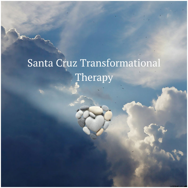 Santa Cruz Transformational Therapy is a clinic on Psychedelic.Support