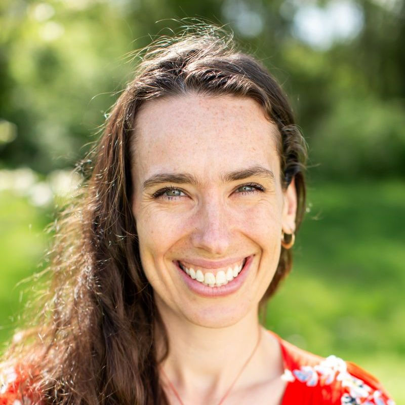 Sara Lytle, LCSW, MDiv is a practitioner on Psychedelic.Support
