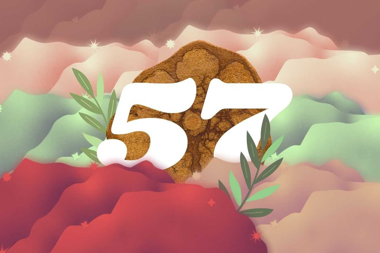 Featured Image: 57 Fun Facts About Ayahuasca