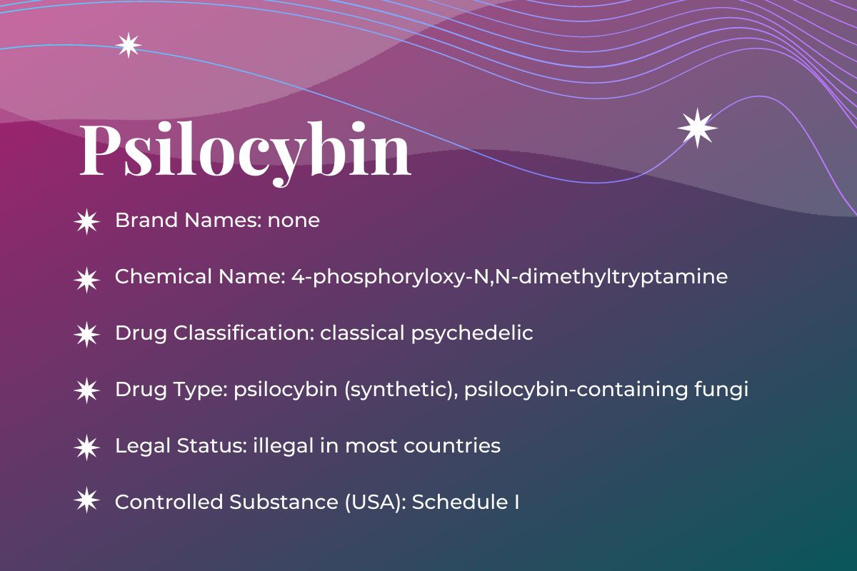 Featured Image: Psilocybin Assisted Therapy Guide