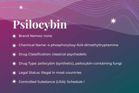 Featured Image: Psilocybin Assisted Therapy Guide