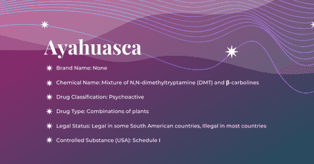 Featured Image: Ayahuasca Substance Guide