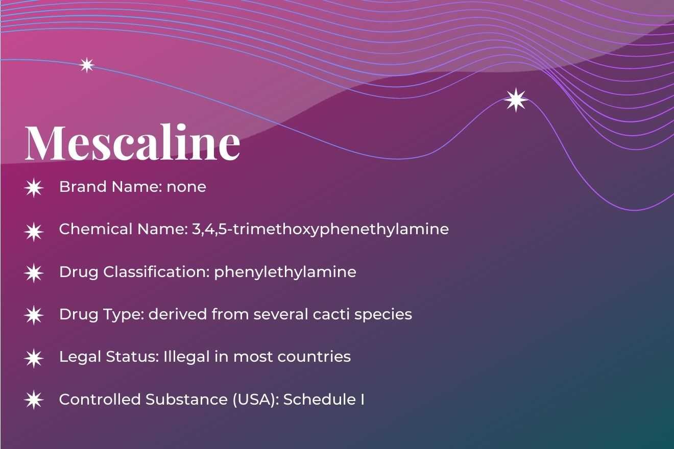 Featured Image: Mescaline Substance Guide